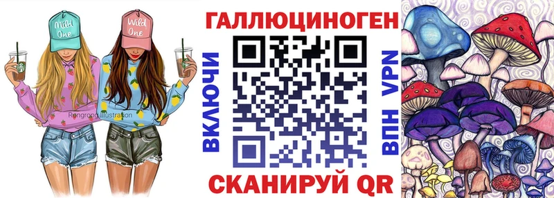 Псилоцибиновые грибы мицелий  omg ссылка  Камень-на-Оби 